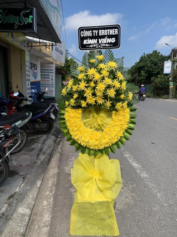 Chia Sẻ Yêu Thương Với Hoa Tươi