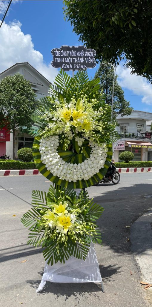 Đội Ngũ Chuyên Nghiệp Và Sáng Tạo