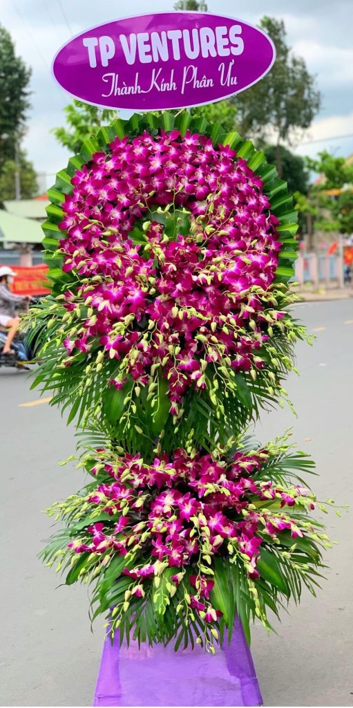 Đội ngũ chuyên nghiệp - Đảm bảo chất lượng