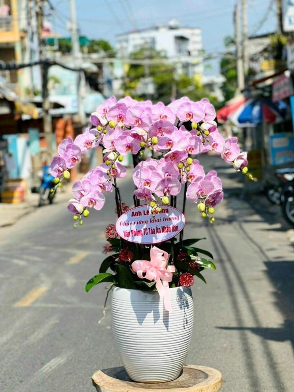 Cam Kết Đảm Bảo Sự Hài Lòng Tuyệt Đối từ Khách Hàng