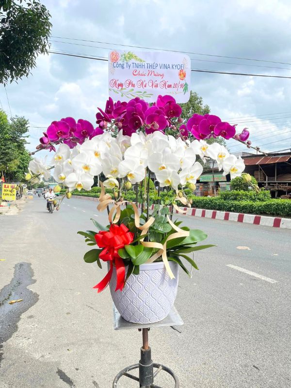 Liên Hệ và Đặt Hàng Ngay Hôm Nay